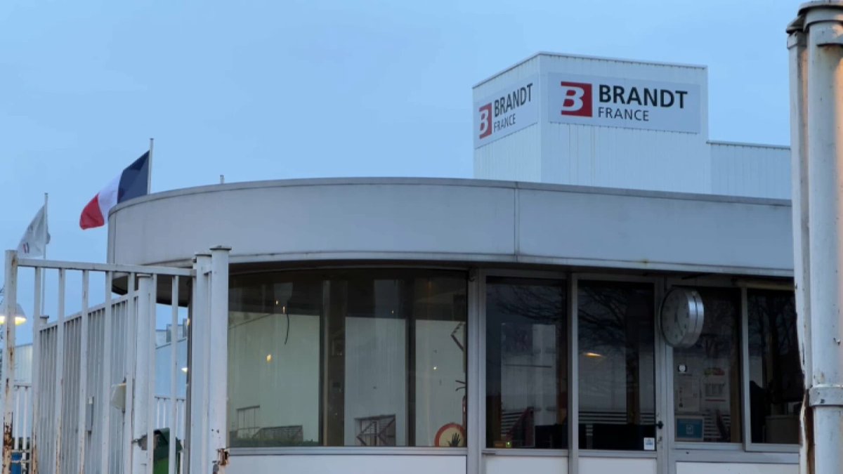 Brandt liquidation